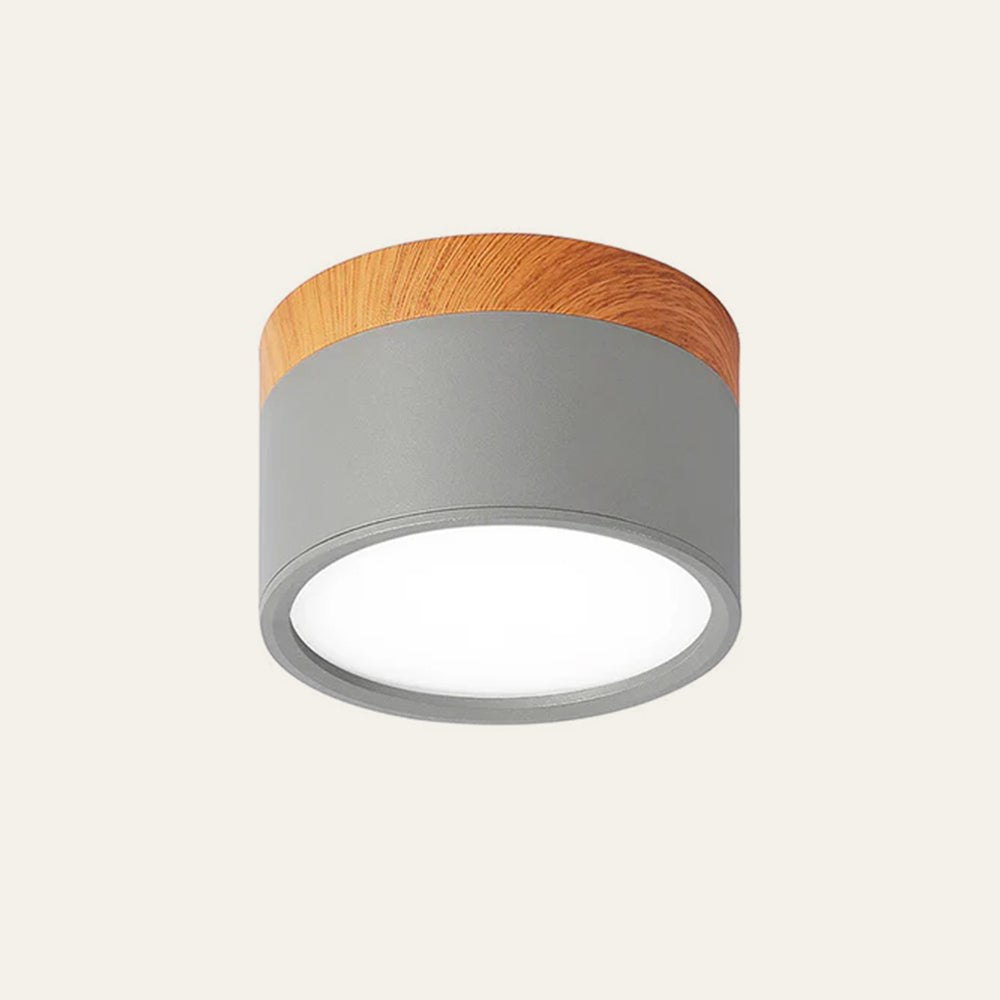 Cylinder Flush Taklampa | H2.36–2.75 in | Kompakt Modern LED Armatur | Sleek Aluminium | Brick by Brick Carvallo