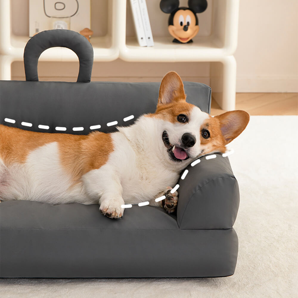 Elevated Pet Sofa Bed Stilig Vattentät Ergonomisk Komfort Carvallo