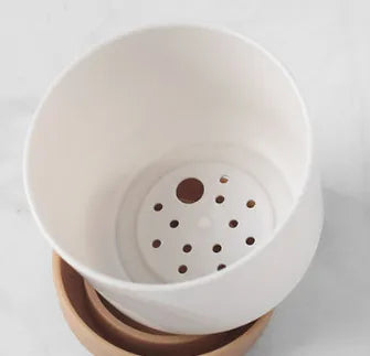 Självbevattnande blomkruka för orkidéer och växter – Plastplanteringskärl Carvallo