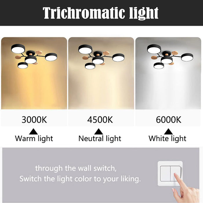 Samtida rund LED taklampa för vardagsrum Carvallo