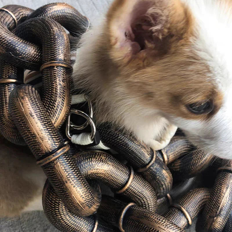 Carvallo - Roligt stort hundhalsband Carvallo