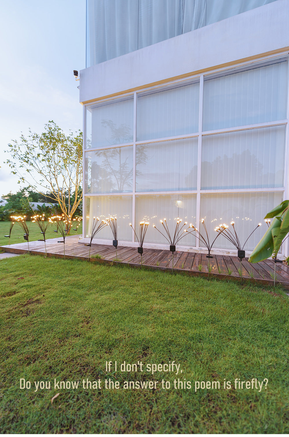 Carvallo - Fängslande Ljusdans Carvallo