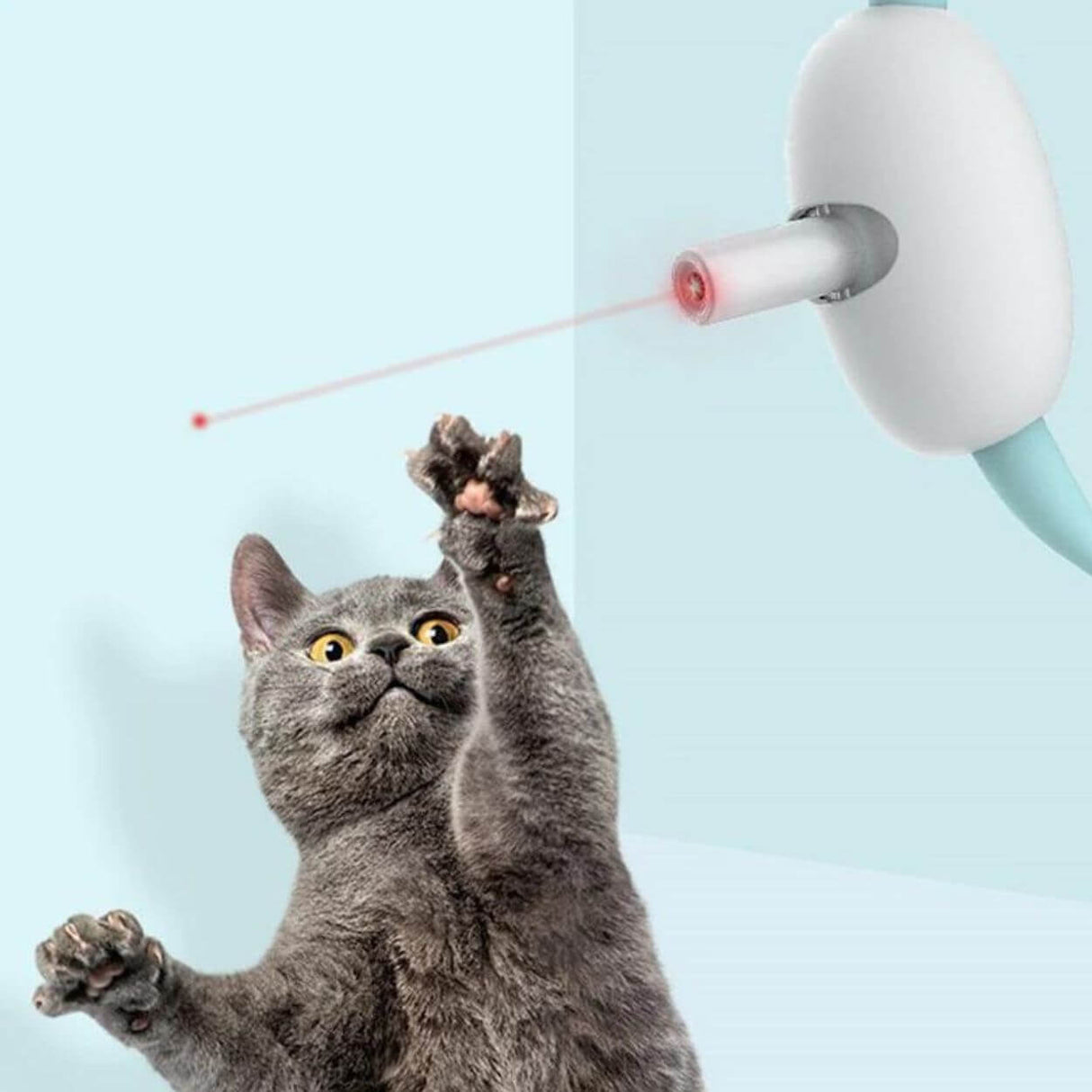 Laser Tease Kattkrage bellasverige