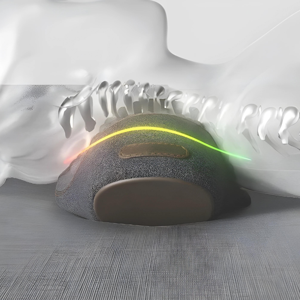 Massage-Nackkudde med värmefunktion Carvallo