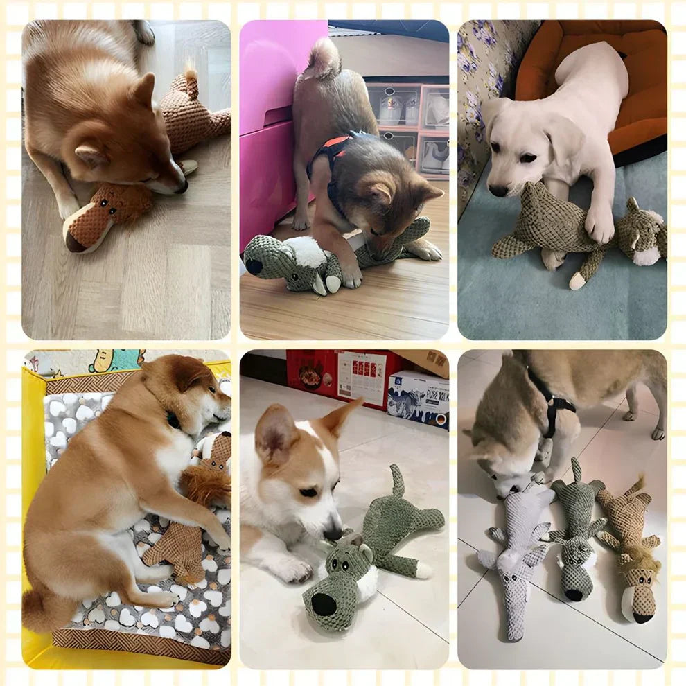 Hund Tugga Legetoy Plysch Hållbar Squeaky Djur Carvallo