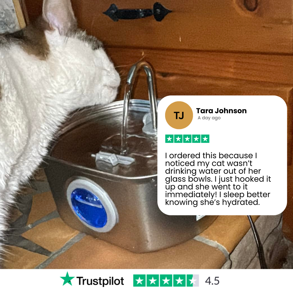 Carvallo Kattens Drickfontän i rostfritt stål | Strömmande vatten för bättre hydrering | Tyst & Hygienisk | 2,5 L kapacitet Carvallo