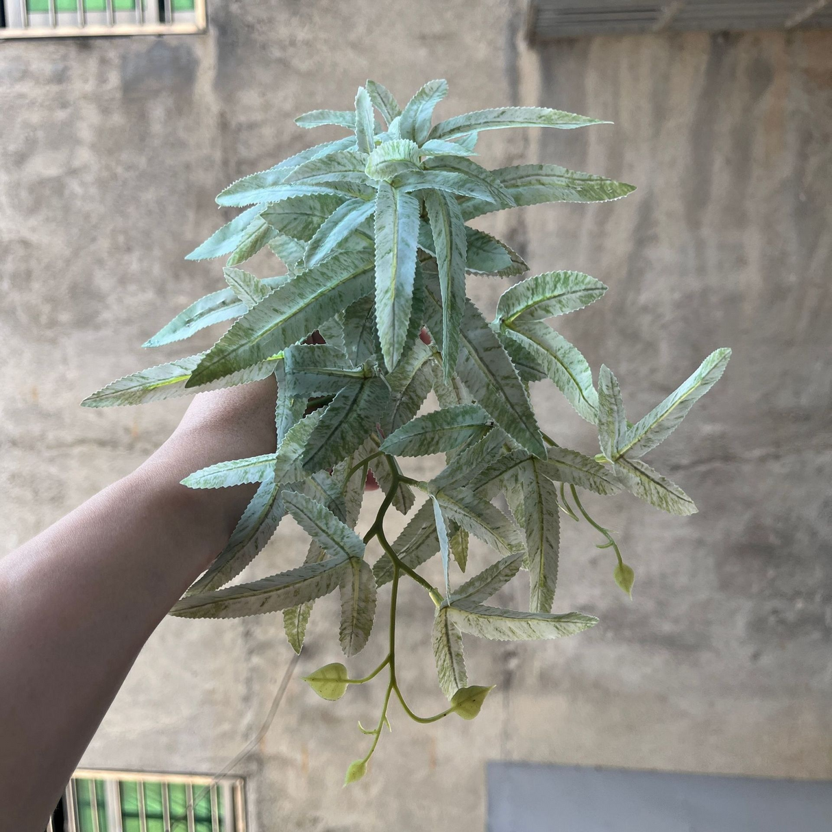 Kunstgjord hängväxt för naturlig dekoration inomhus och utomhus Carvallo