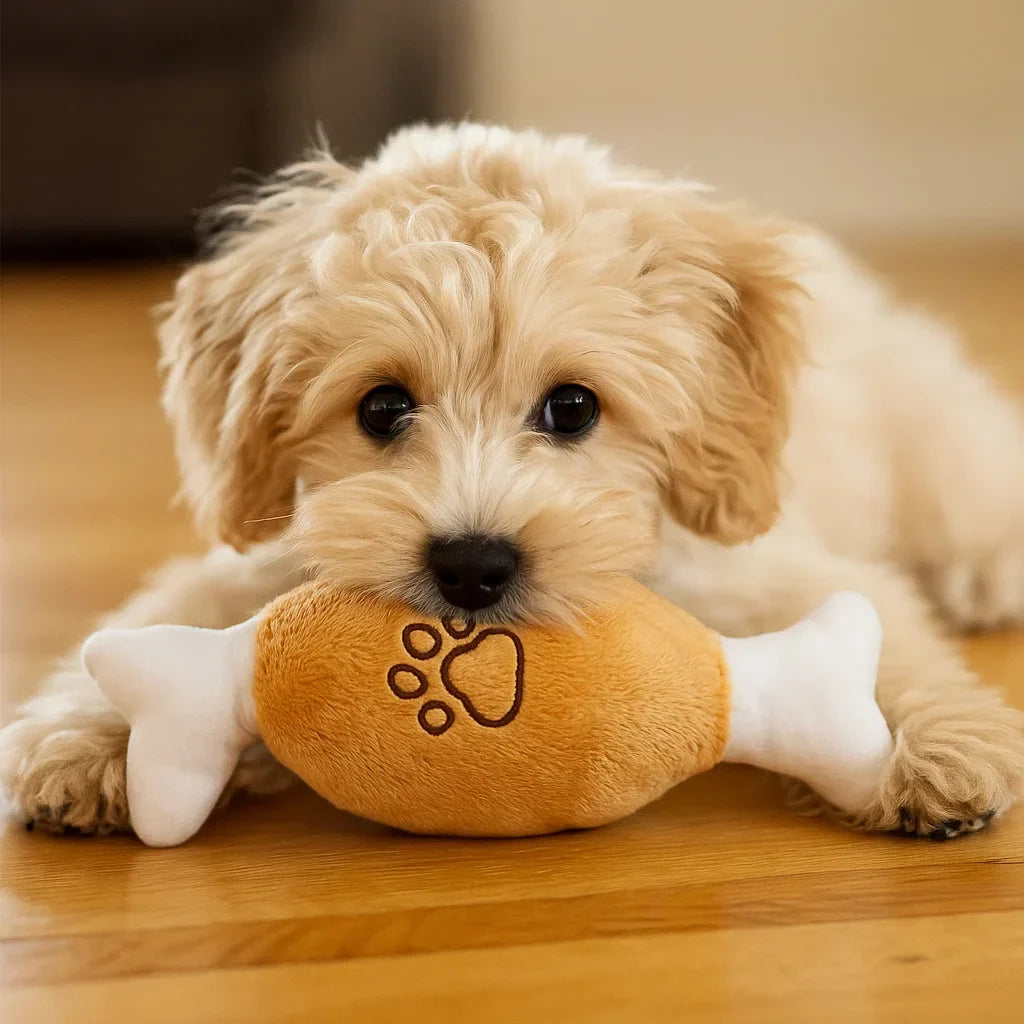 Hundleksak Pluffig Squeaky Tuggedyr Carvallo