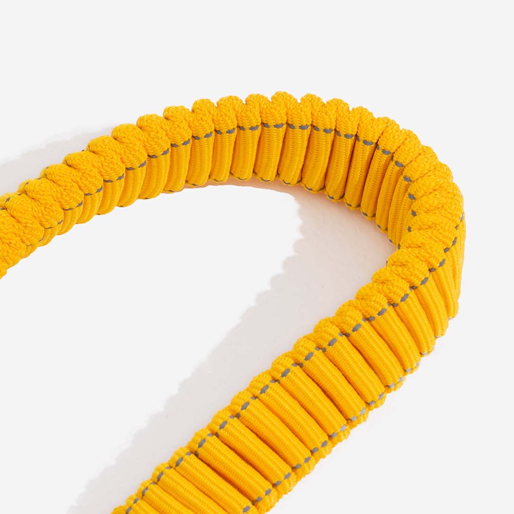 Hundbälte med justerbart säkerhetsband Carvallo