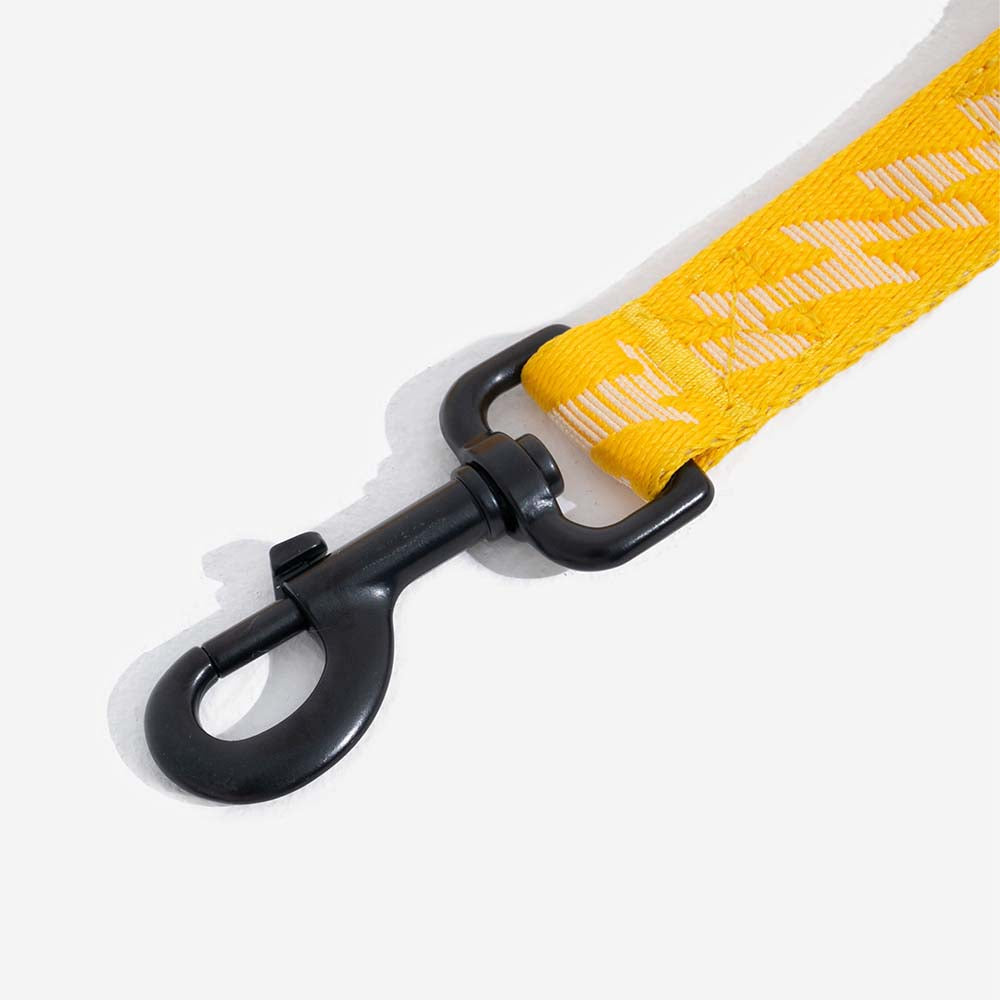 Hundbälte med justerbart säkerhetsband Carvallo