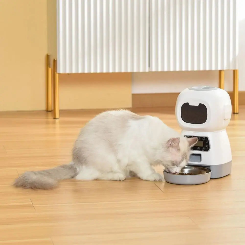 Röstinspelaning Automatisk Pet Feeder-Animals-Bellasverige-Hemnix