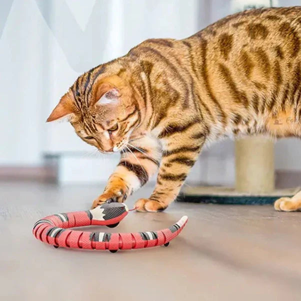 Interaktiv ormleksak från Cat's Smart-Animals-Hemnix-Hemnix