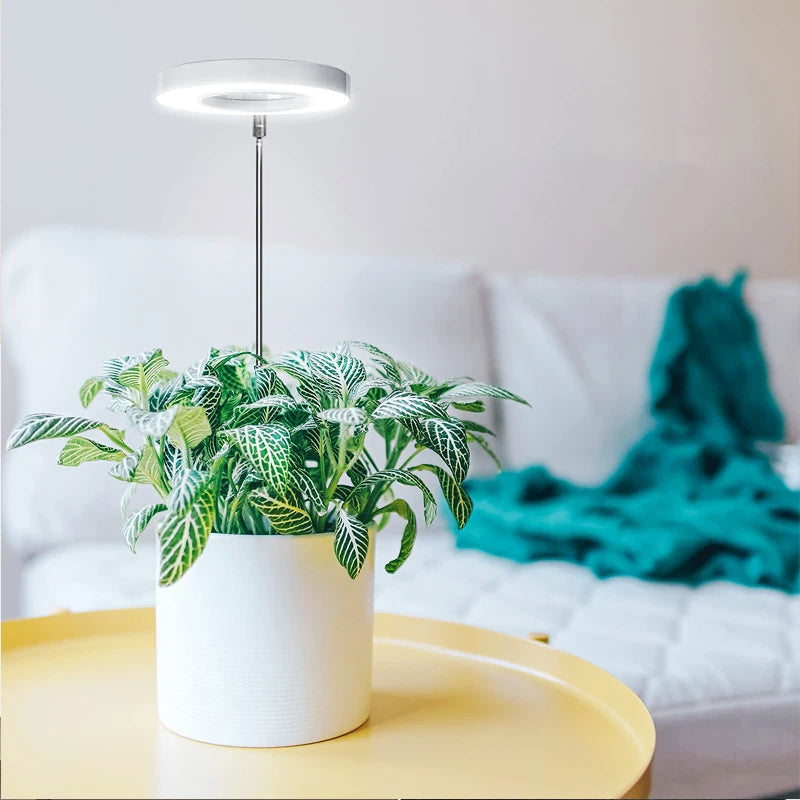 PlantGlow - Justerbar LED Grow Lampa för blomstrande inomhusväxter Carvallo