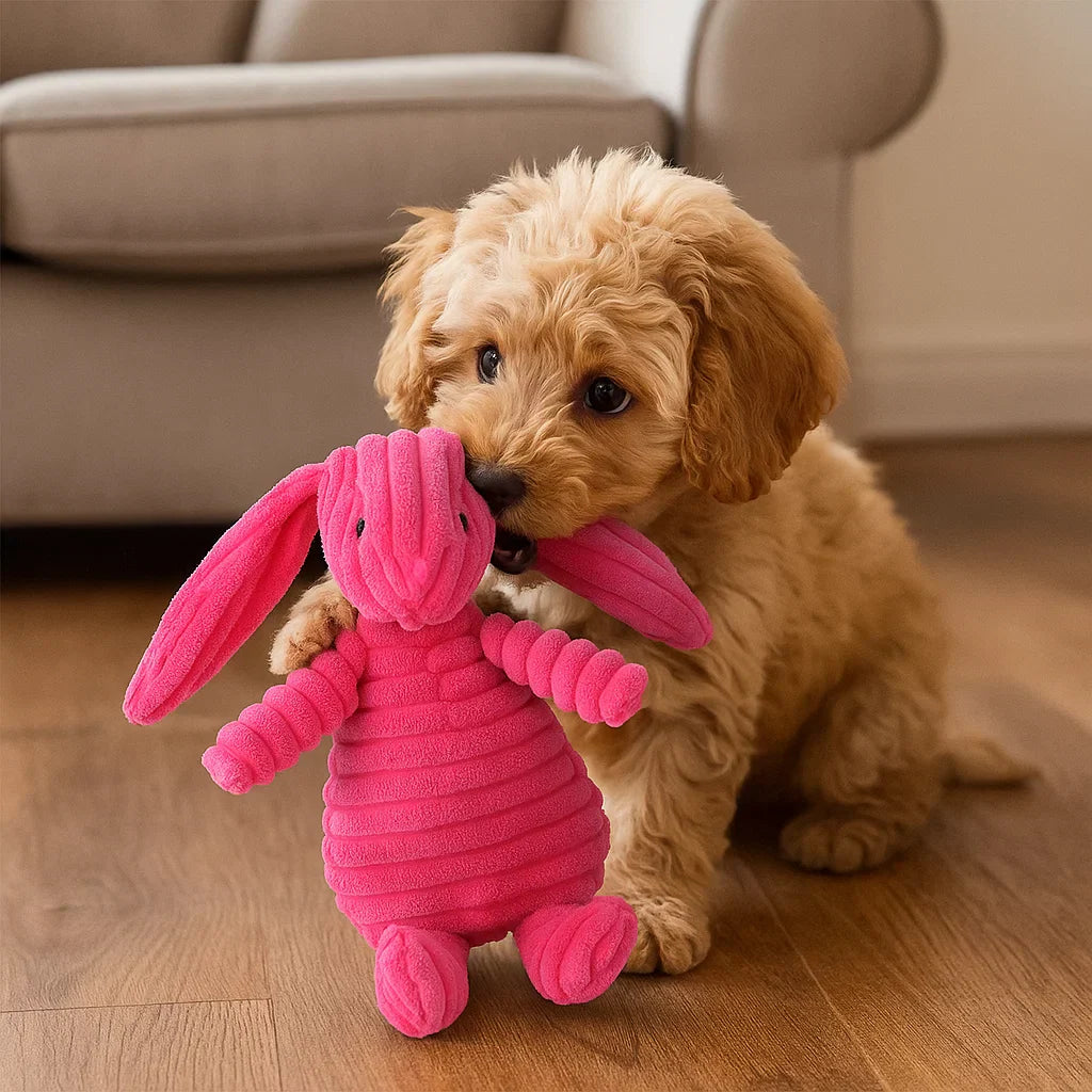 Hundleksak Pluffig Squeaky Tuggedyr Carvallo