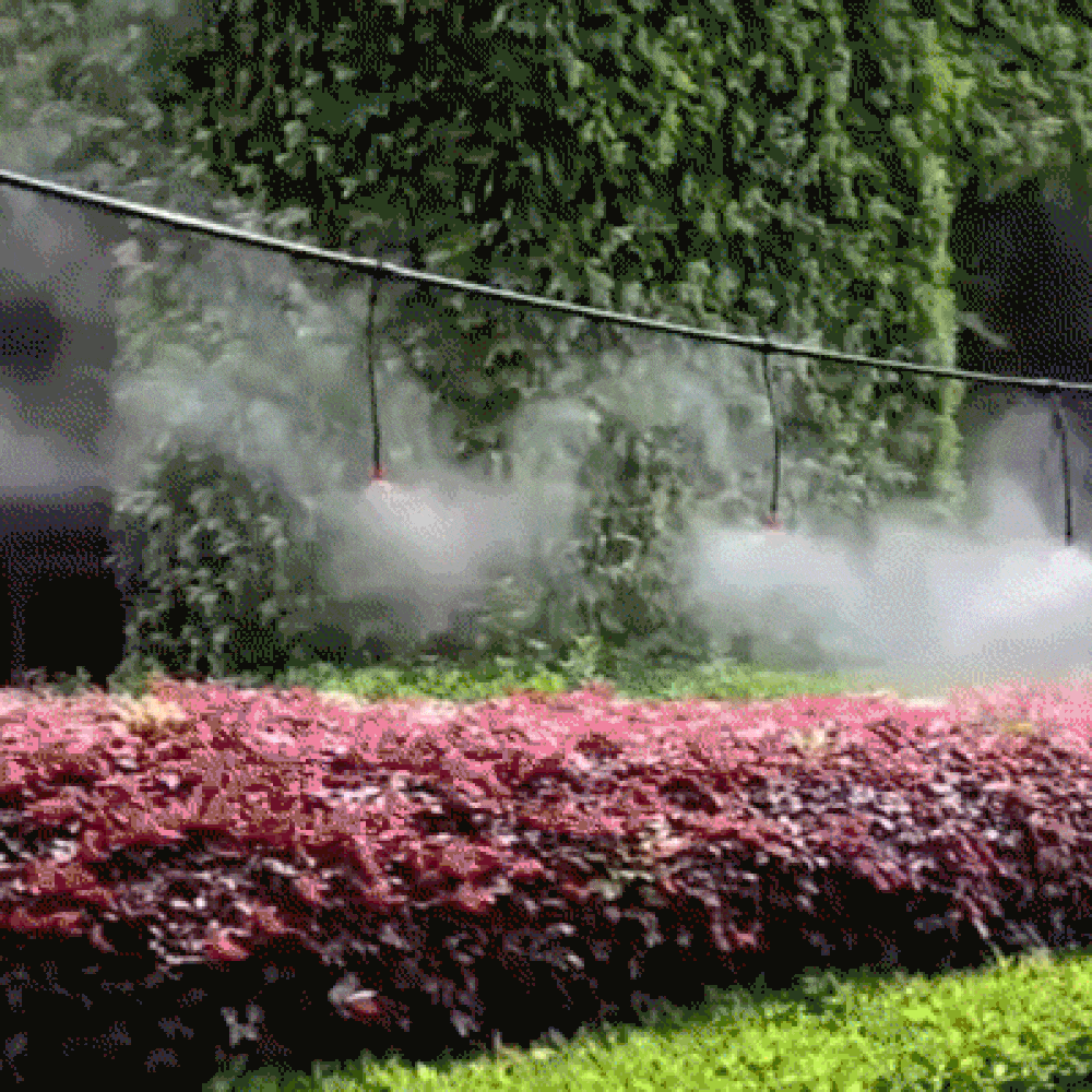 Carvallo – Friskhet & Vård för din trädgård Carvallo