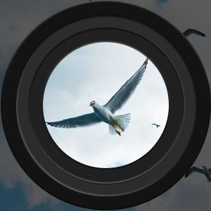 Kikare Hög Effekt Natt Sikt Vattentålig Carvallo