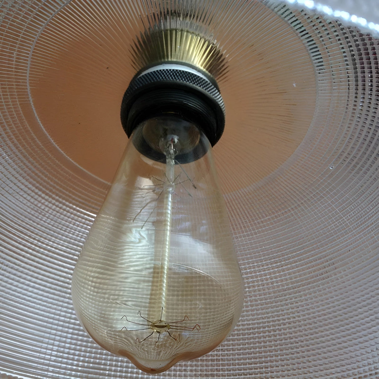 Retro pendel ljus av glas – Stilig hängande lampa för mysiga utrymmen Carvallo