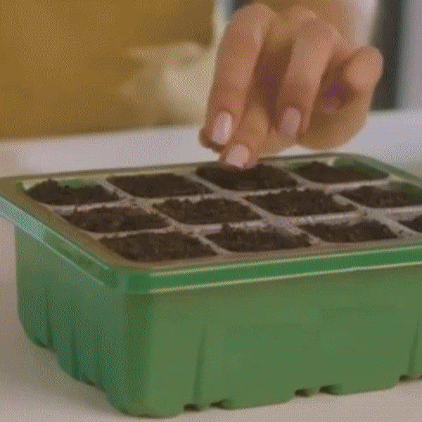 Inomhusväxthus med LED och luftcirkulation-VaruZ-Hemnix