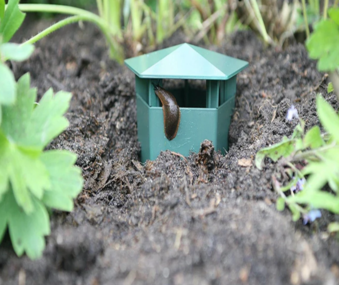 Snigelfälla-VaruZ-Hemnix