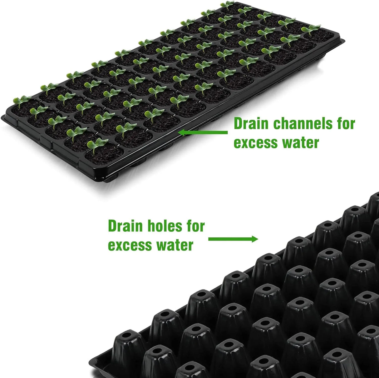 Rektangulär växtskål – såddskål för effektiv groning och tillväxt av plantor Carvallo