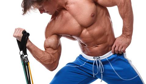 Royaleva Sport Elastics Set för Hemträning Carvallo