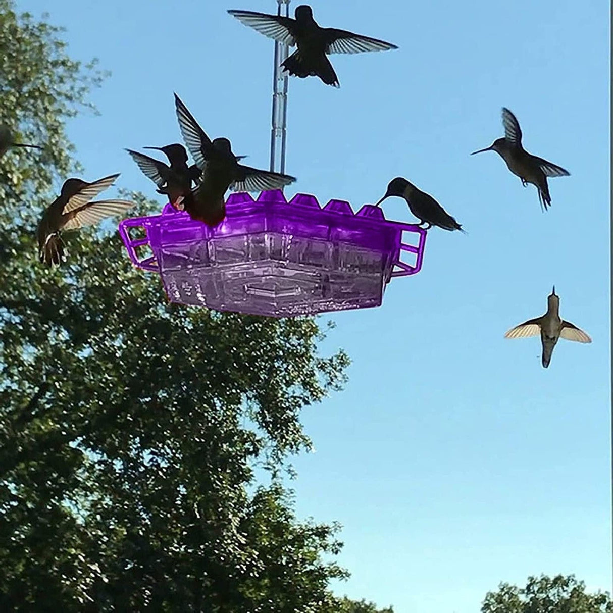 Kolibri Matare Röd Plast Hängande Fågelmatare Carvallo