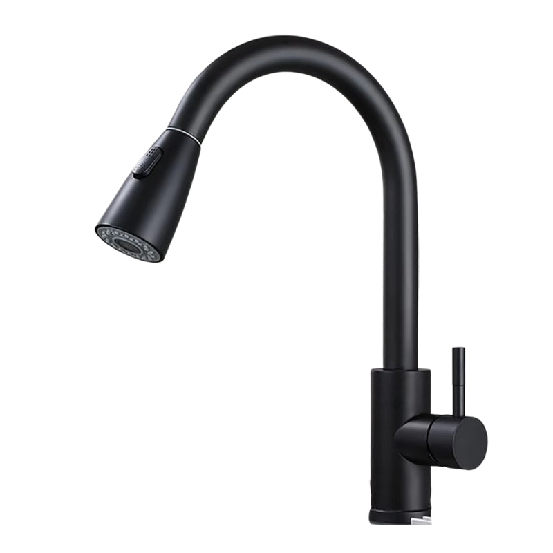 PureFlow – Enkelt Handtag Utdragbar Kökblandare Carvallo