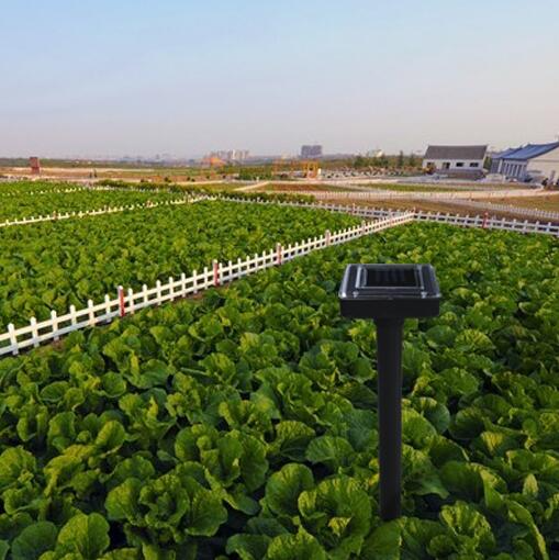 Solcellsdriven orm- och skadedjursavskräckare – ultraljudsenhet för trädgården Carvallo