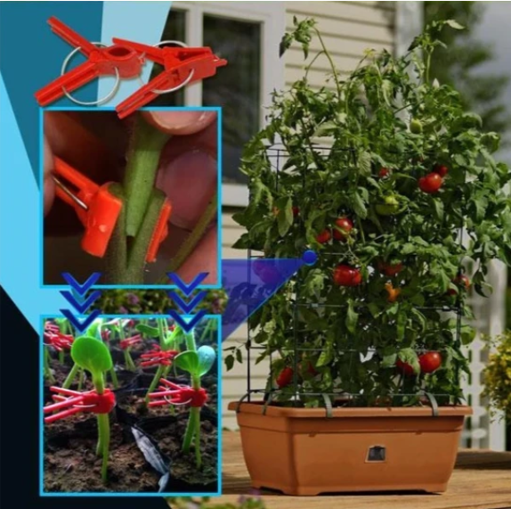 Plastmaterial Förädlingsklipp för trädgårdsväxter - Ideal för grönsaker och växtvård Carvallo