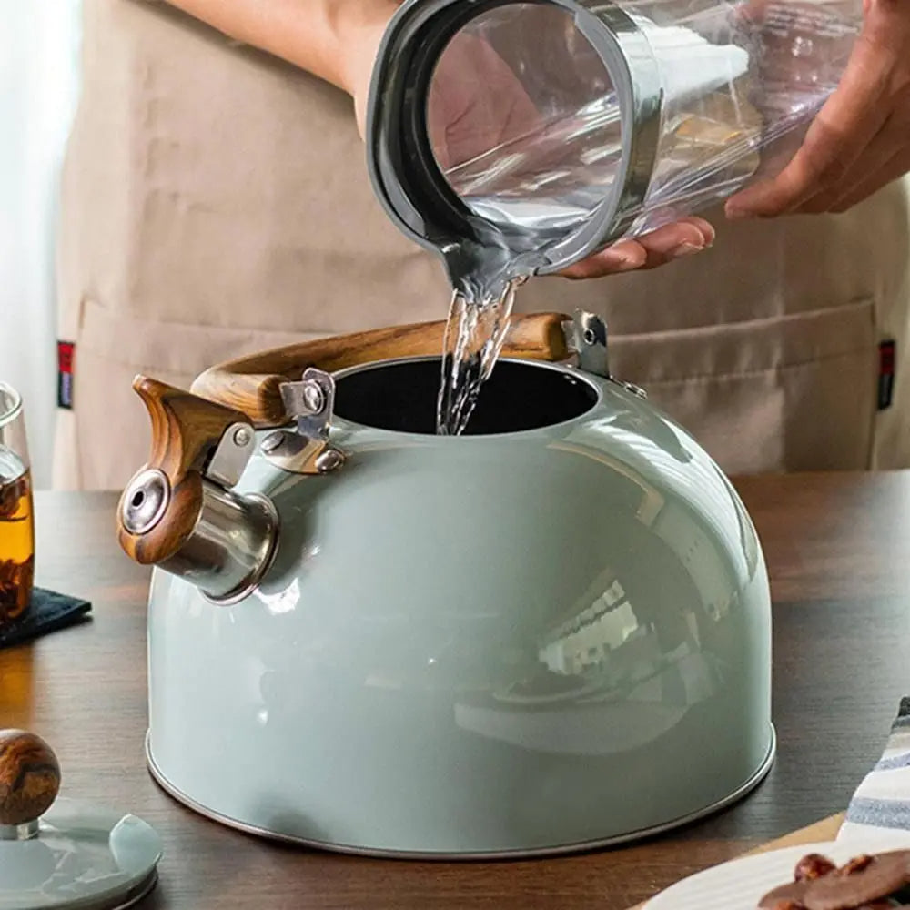 Rostfritt Stål visselpipa Kittel Carvallo