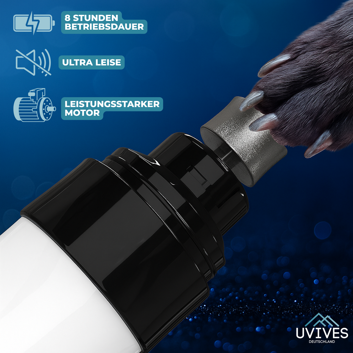 Carvallo – Stressfri tassvård Carvallo