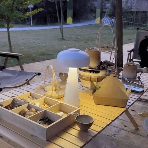 Trådlampa LED-bordslampa – Modern uppladdningsbar och trådlös | Enkel nordisk design Carvallo