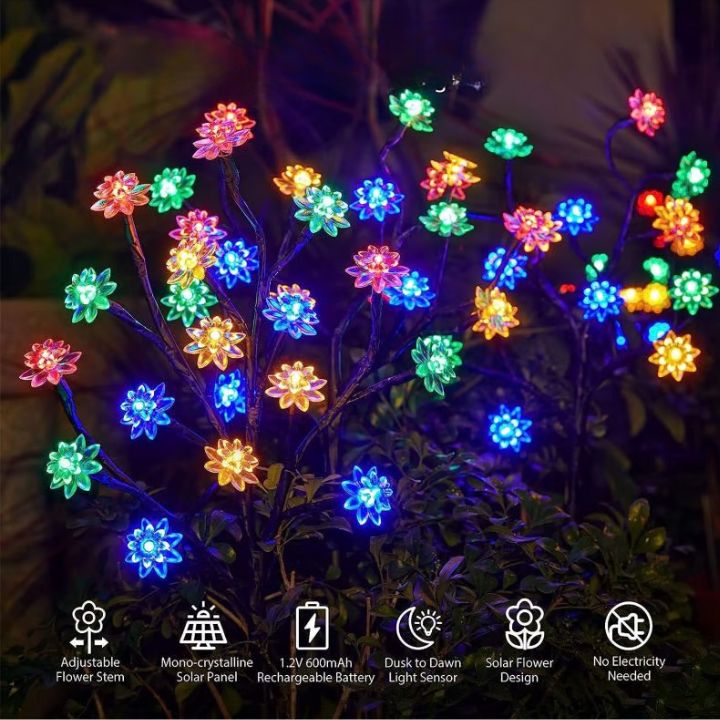 Carvallo – Förvandlar varje trädgård till ett blomsterparadis Carvallo