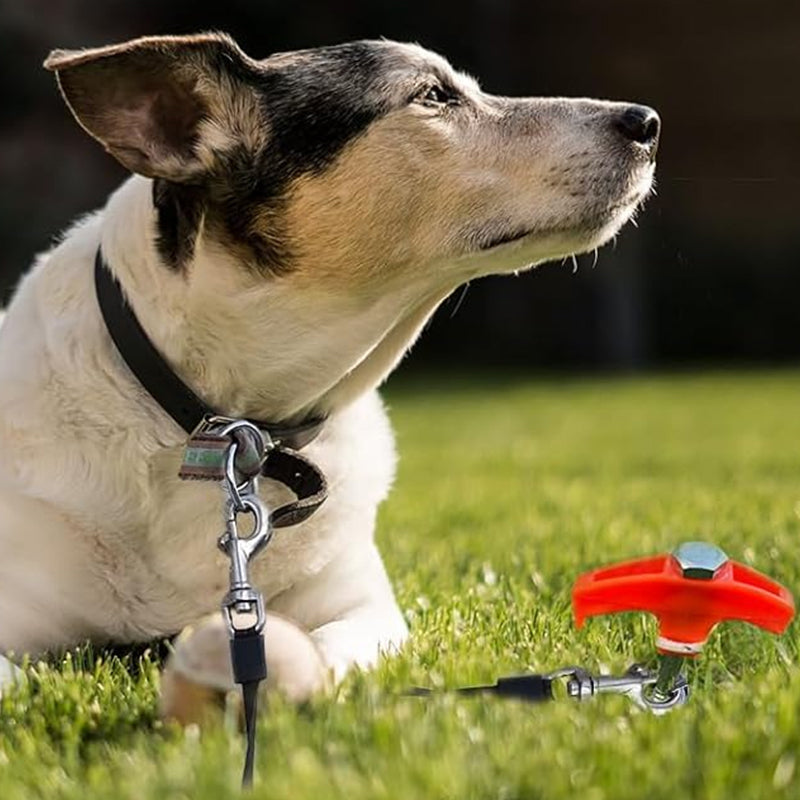 Carvallo - Galvaniserad stål pop up tältpluggar pluggar Carvallo