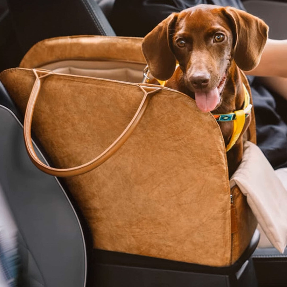 Bärbar Husdjurs Resväska – Lätt, Andningsbar & Säker för Små Husdjur Carvallo