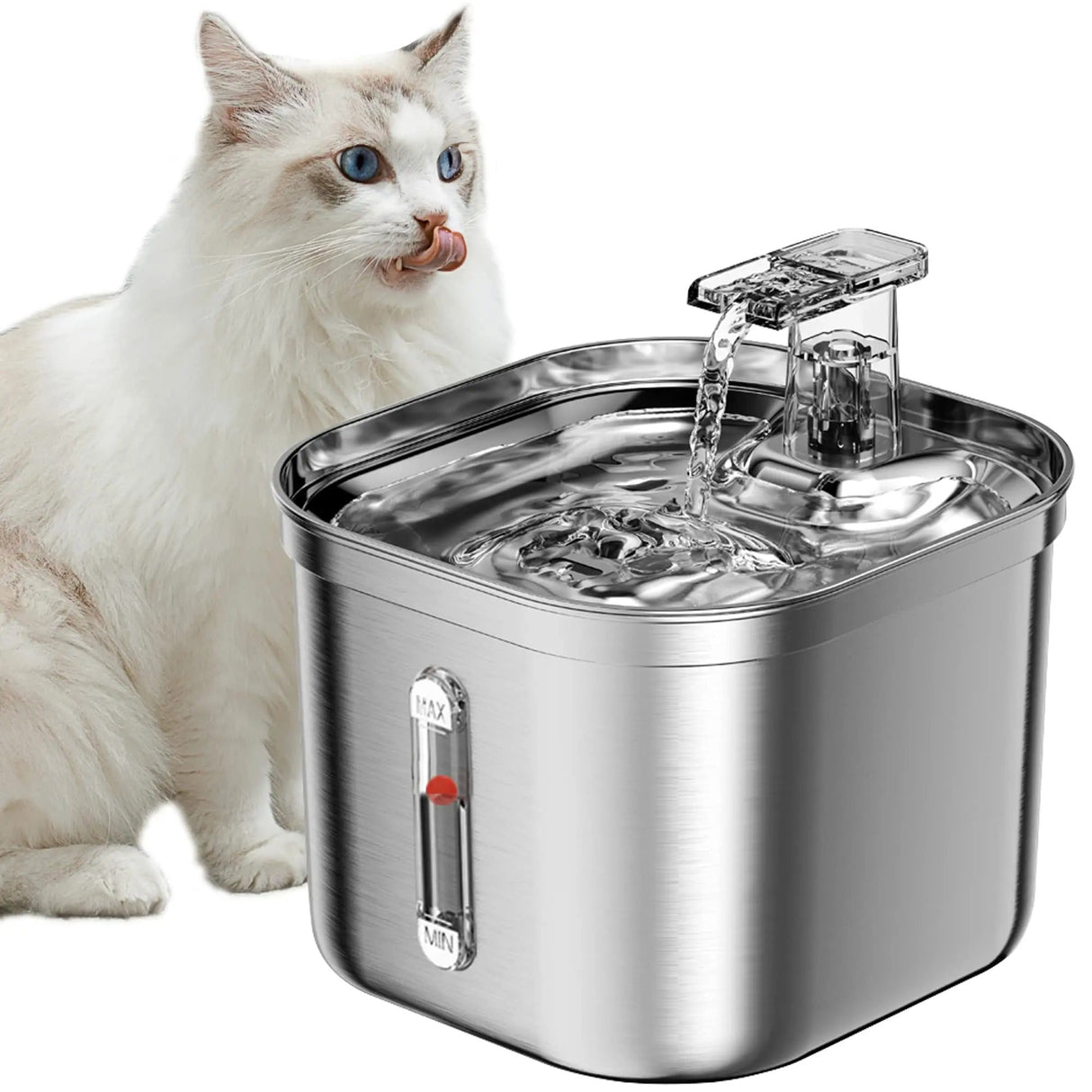 Automatisk rostfri kattvattenfontän Carvallo