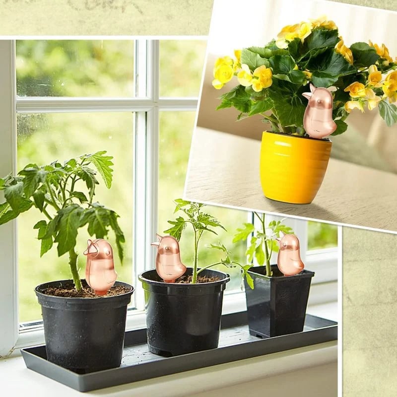 Carvallo | BloomFeeder - Automatisk blomvattnare typ fågelhus Carvallo