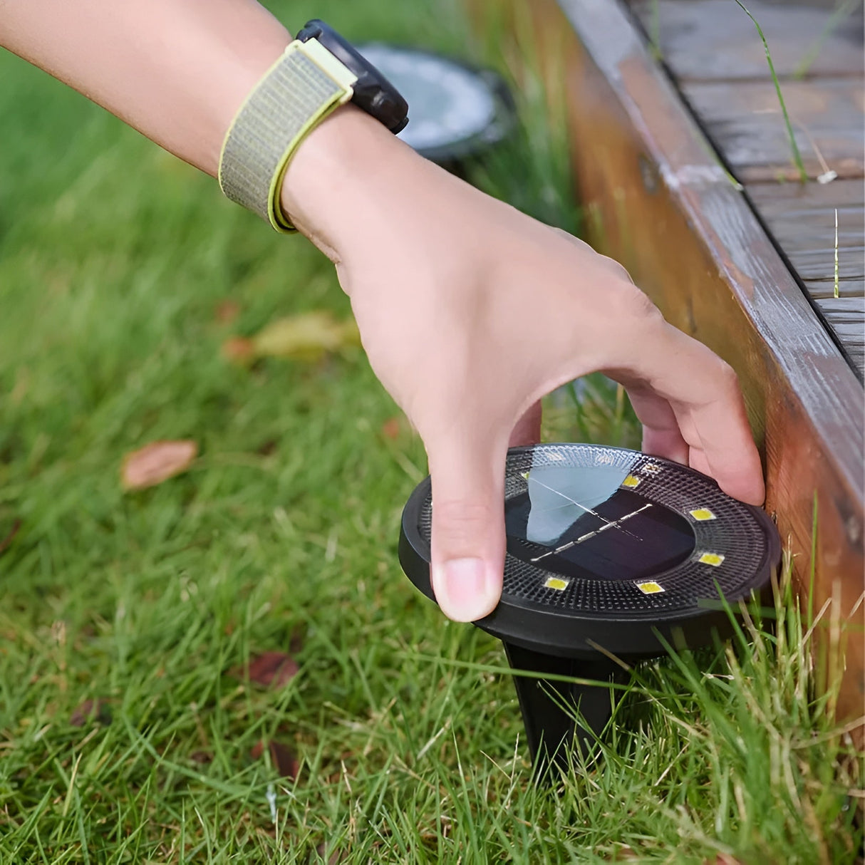 Solarlampa för trädgården – Väderbeständig och varmt vitt ljus för mysiga kvällar Carvallo