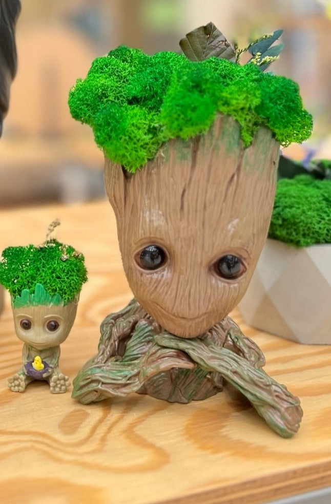 Baby Groot-VaruZ-Designat med mossa och växter-Hemnix