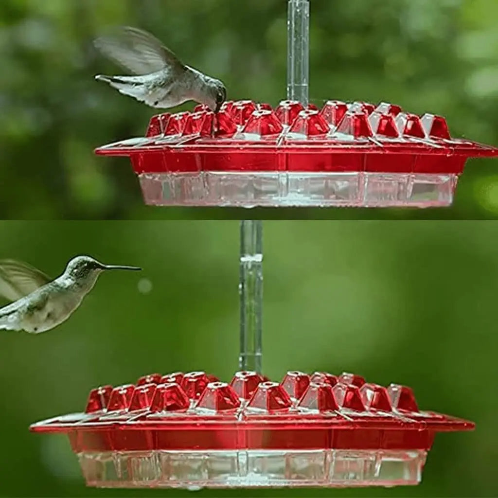Ant-Proof Kolibri Matare med 30 Bi-Motståndskraftiga portar Carvallo