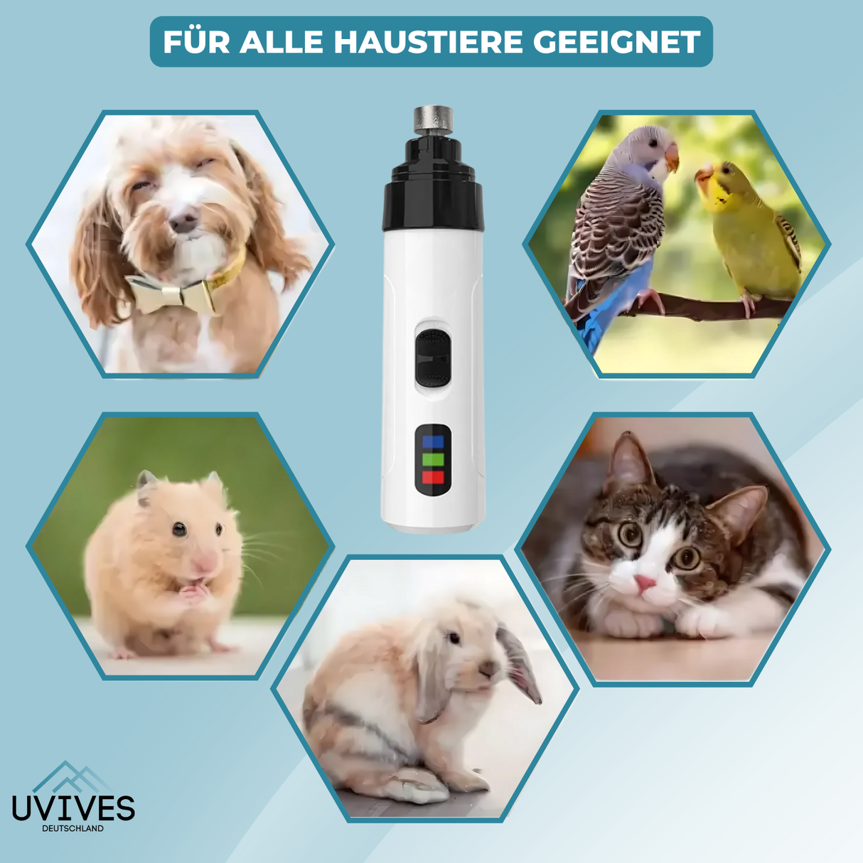 Carvallo – Stressfri tassvård Carvallo