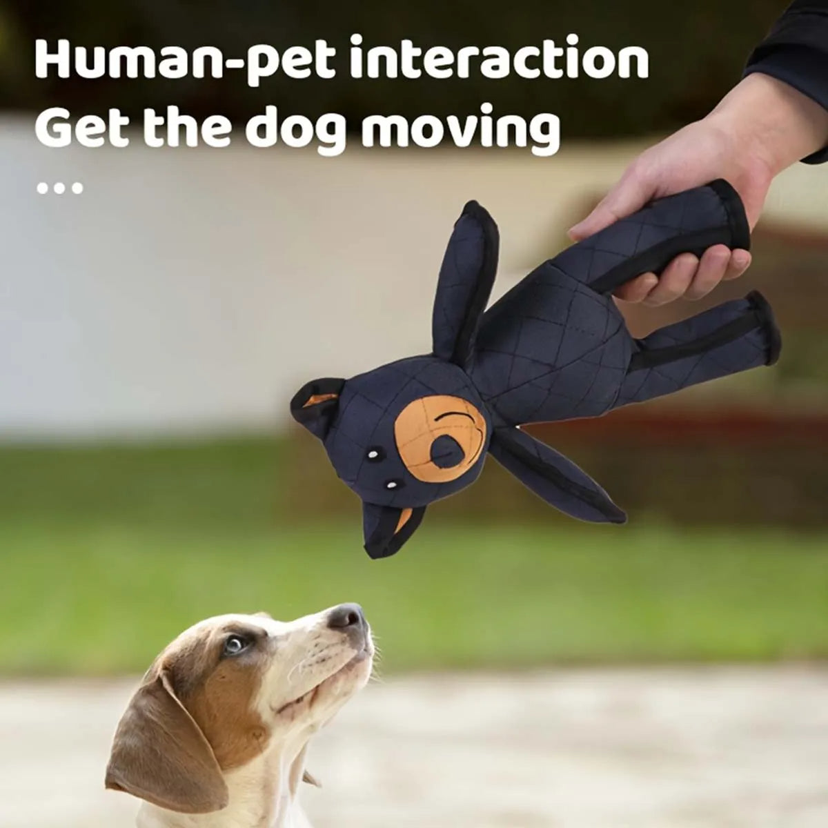 Indestructibla & Interaktiva Björn Hundleksaker För Tunga Tuggar Carvallo