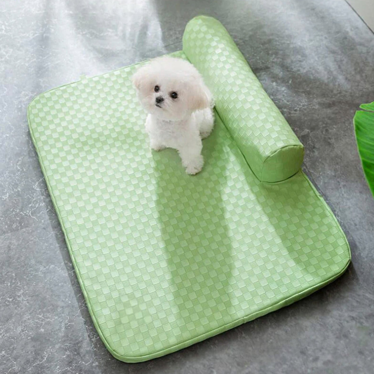 Rutig läder husdjur säng ortopedisk repa beständig tvättbar Carvallo