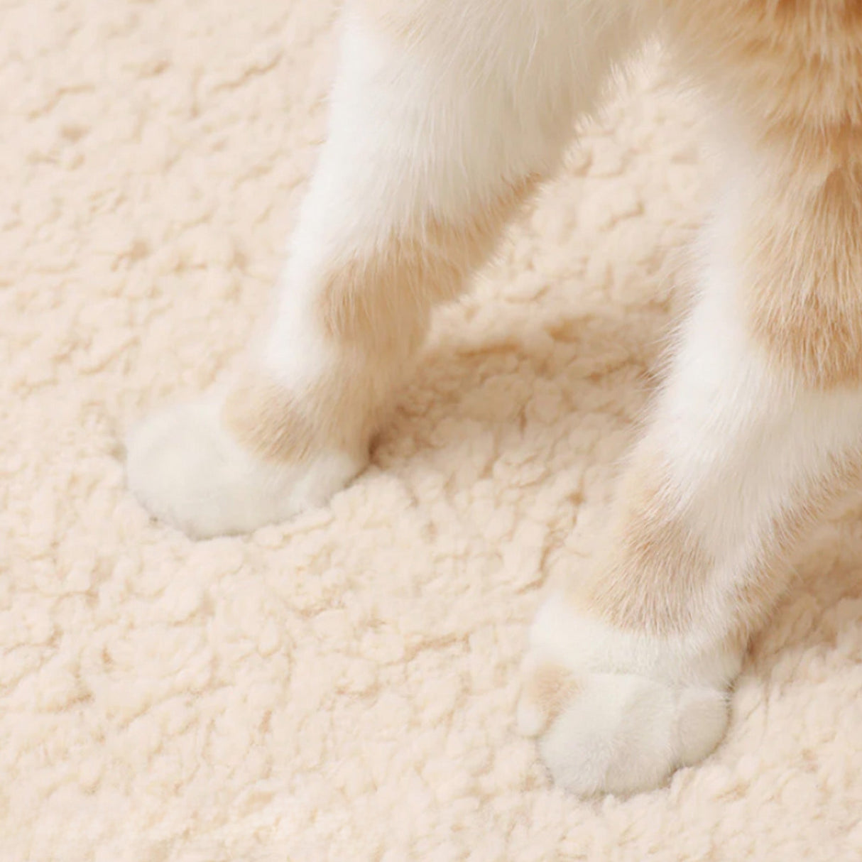 Mysig Varm Rund Husdjursbädd Plysch Ortopedisk Halkfri Design Carvallo