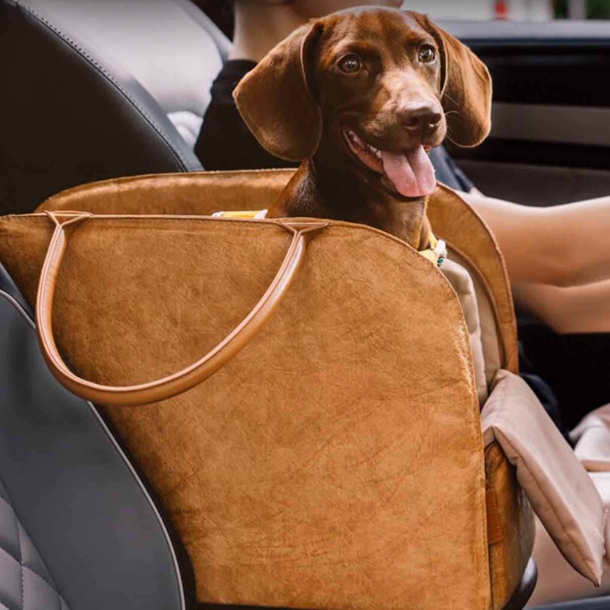 Bärbar Husdjurs Resväska – Lätt, Andningsbar & Säker för Små Husdjur Carvallo