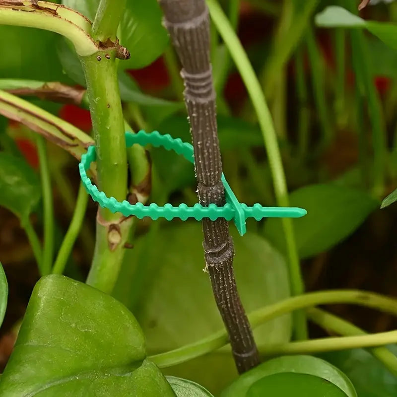 Plantbindning Kabelbinder Set för stabil fästning av växter Carvallo