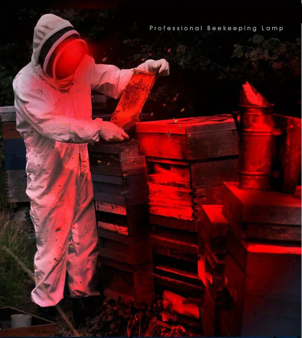 Återuppladdningsbar LED-huvudlampa med vitt, rött och grönt ljus – Kraftfull pannlampa med USB och batteri Carvallo