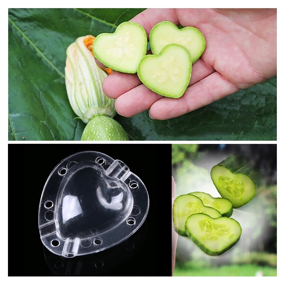 Hjärta form grönsaksform – Kreativ formskål för grönsaker och frukt Carvallo