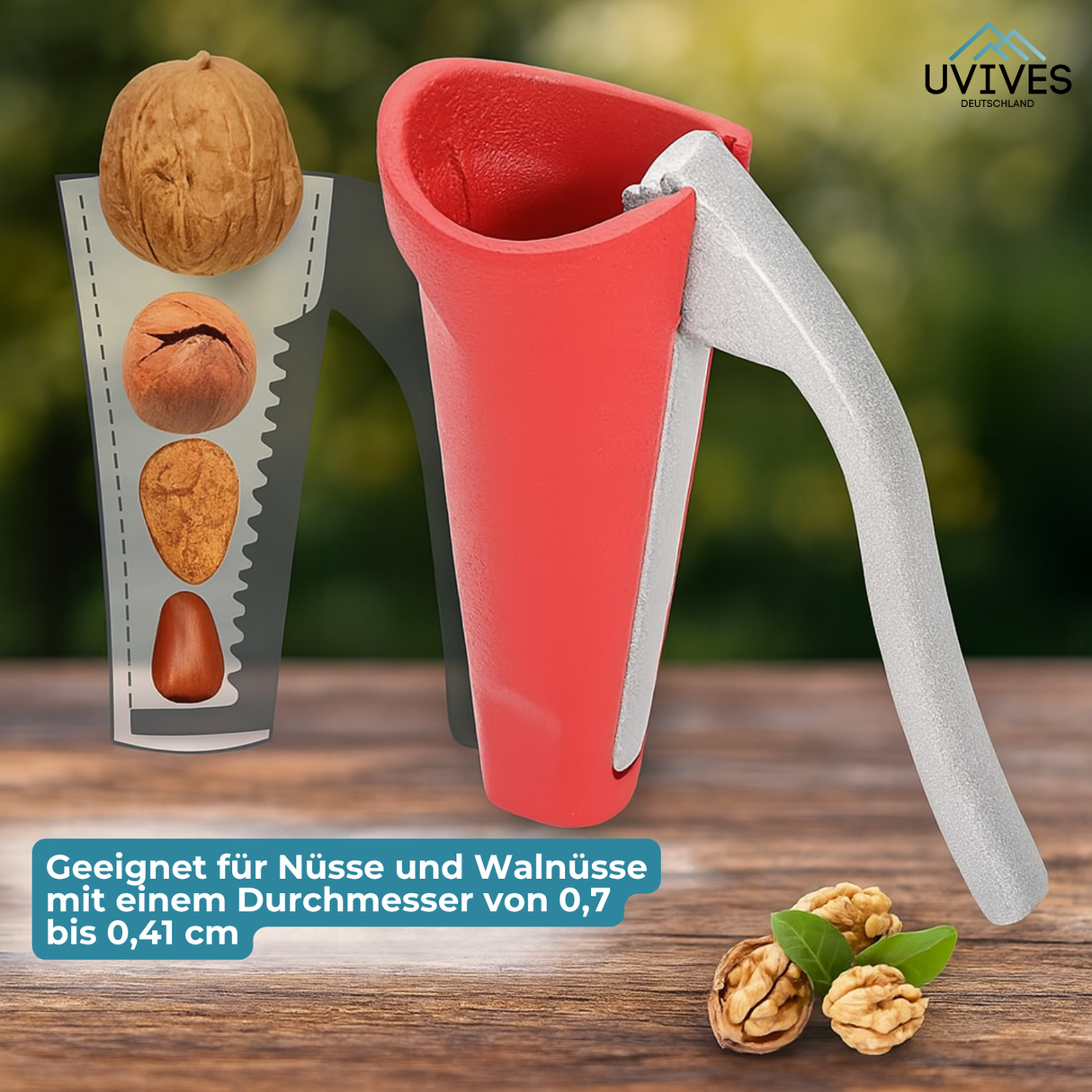 Carvallo | NussMeister – Knäcker varje nöt med minimal kraftansträngning Carvallo