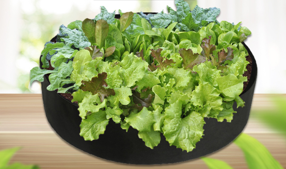 Rinder växttillväxtpåse – trädgårdskärl för enkel växttillväxt Carvallo